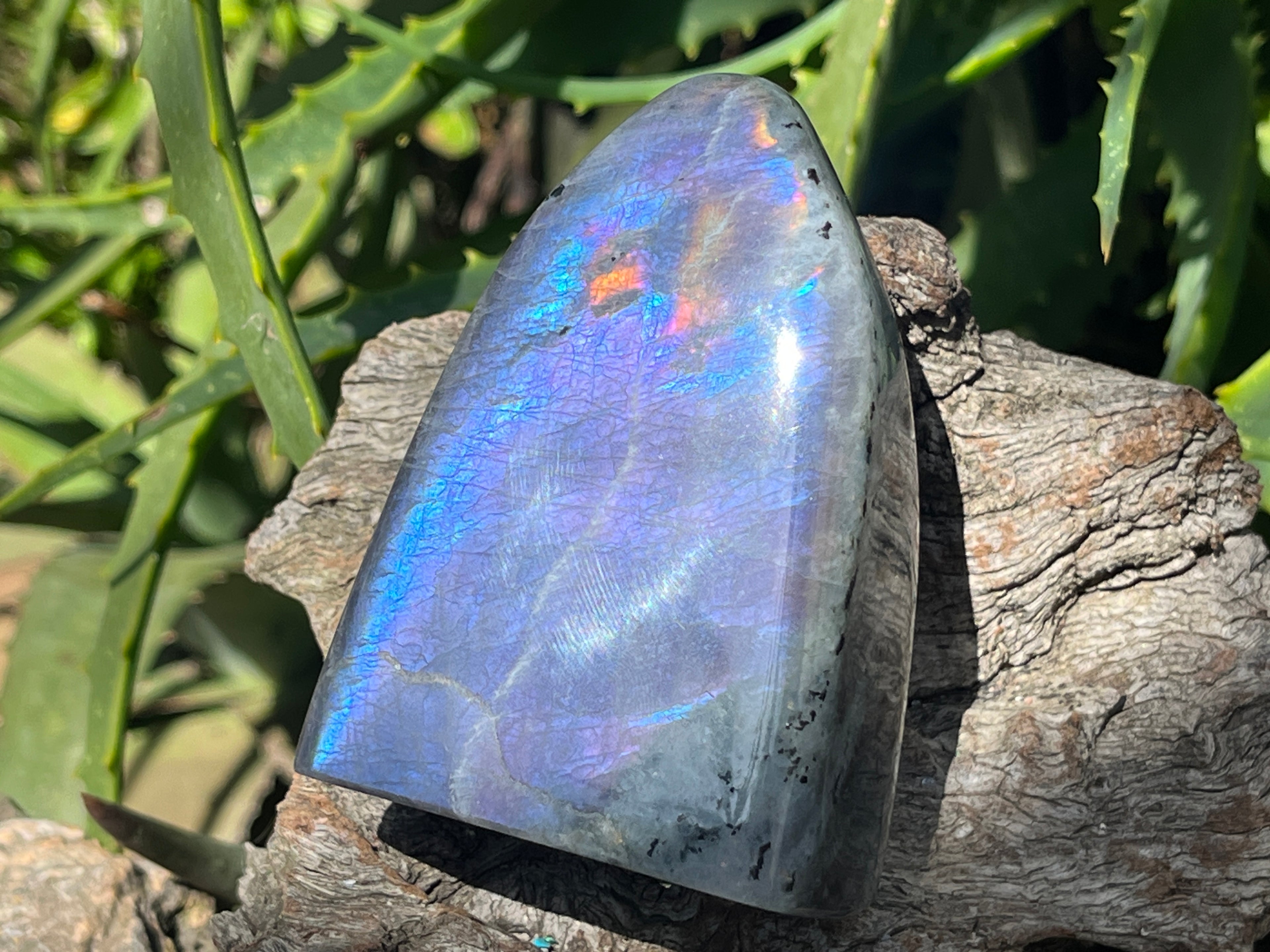 Polished Rare Purple Labradorite Standing Free Form x 1 From Tulear, Madagascar