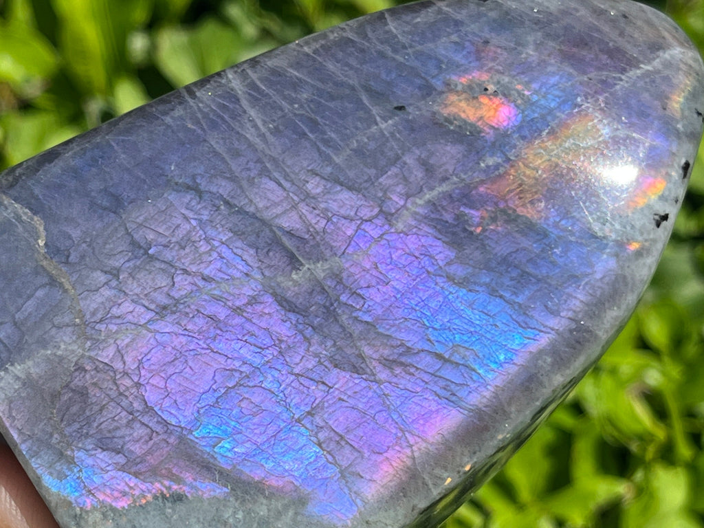 Polished Rare Purple Labradorite Standing Free Form x 1 From Tulear, Madagascar