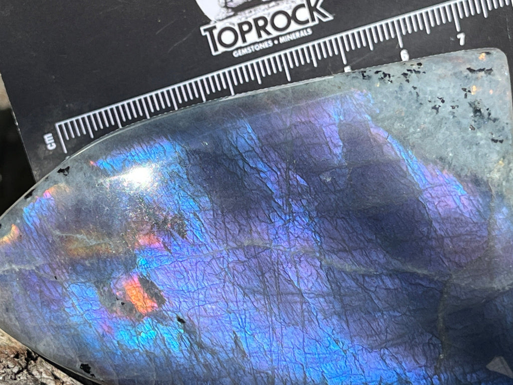 Polished Rare Purple Labradorite Standing Free Form x 1 From Tulear, Madagascar