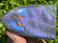 Polished Rare Purple Labradorite Standing Free Form x 1 From Tulear, Madagascar