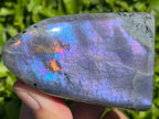 Polished Rare Purple Labradorite Standing Free Form x 1 From Tulear, Madagascar