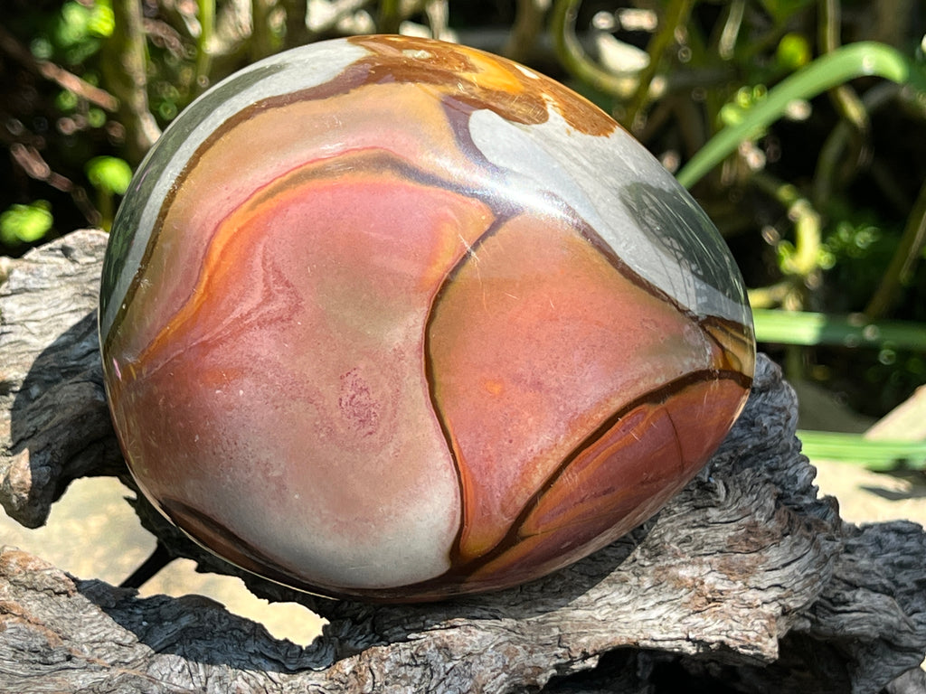 Polished On One Side Polychrome Jasper Nodule x 1 From NW Coast, Madagascar