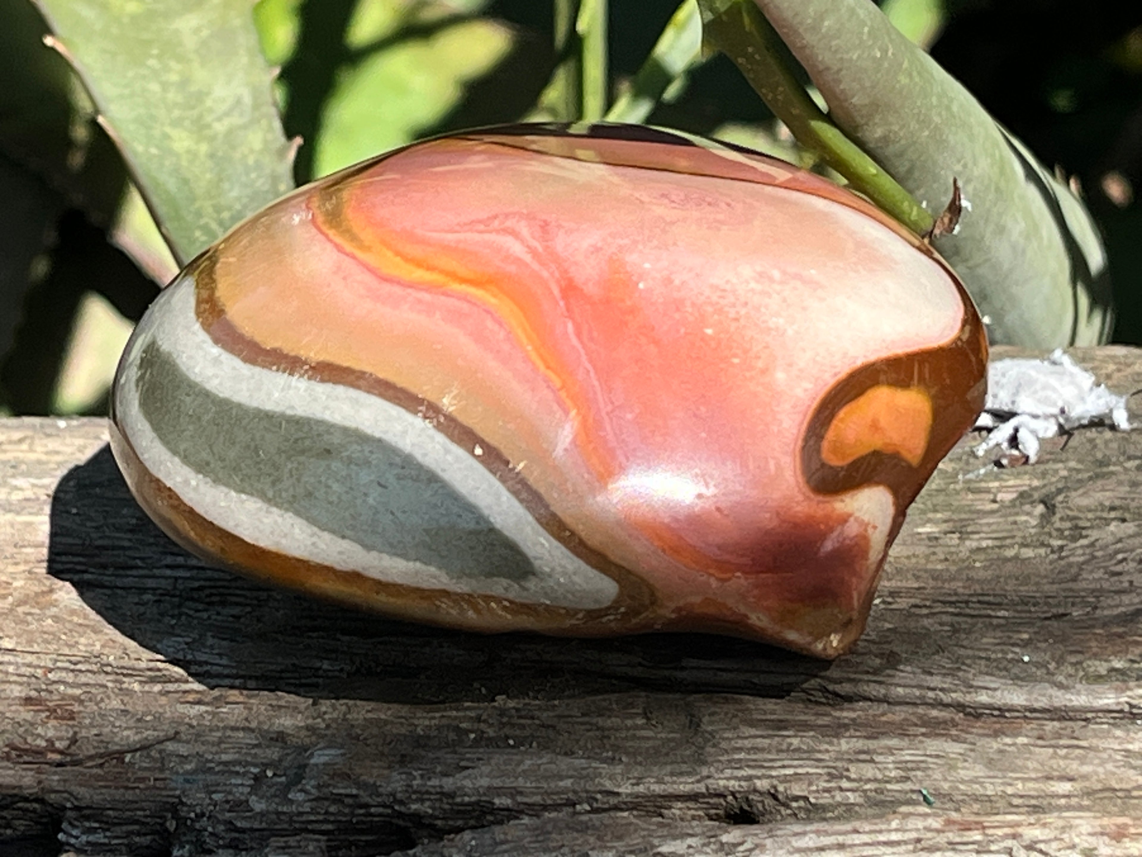 Polished On One Side Polychrome Jasper Nodule x 1 From NW Coast, Madagascar