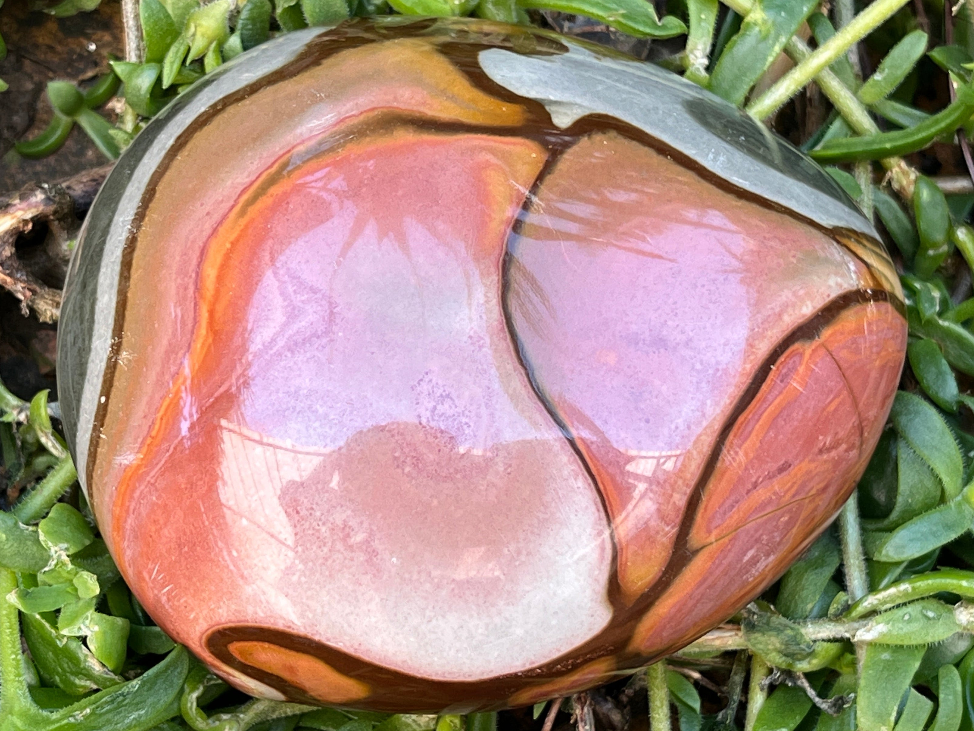 Polished On One Side Polychrome Jasper Nodule x 1 From NW Coast, Madagascar