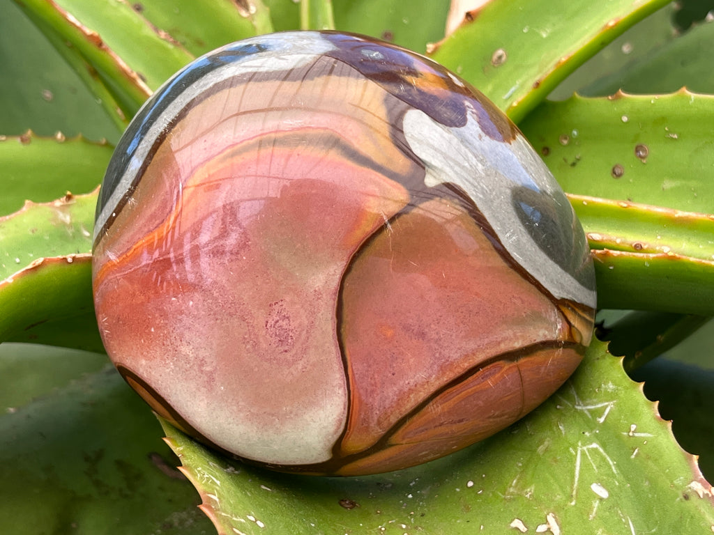Polished On One Side Polychrome Jasper Nodule x 1 From NW Coast, Madagascar