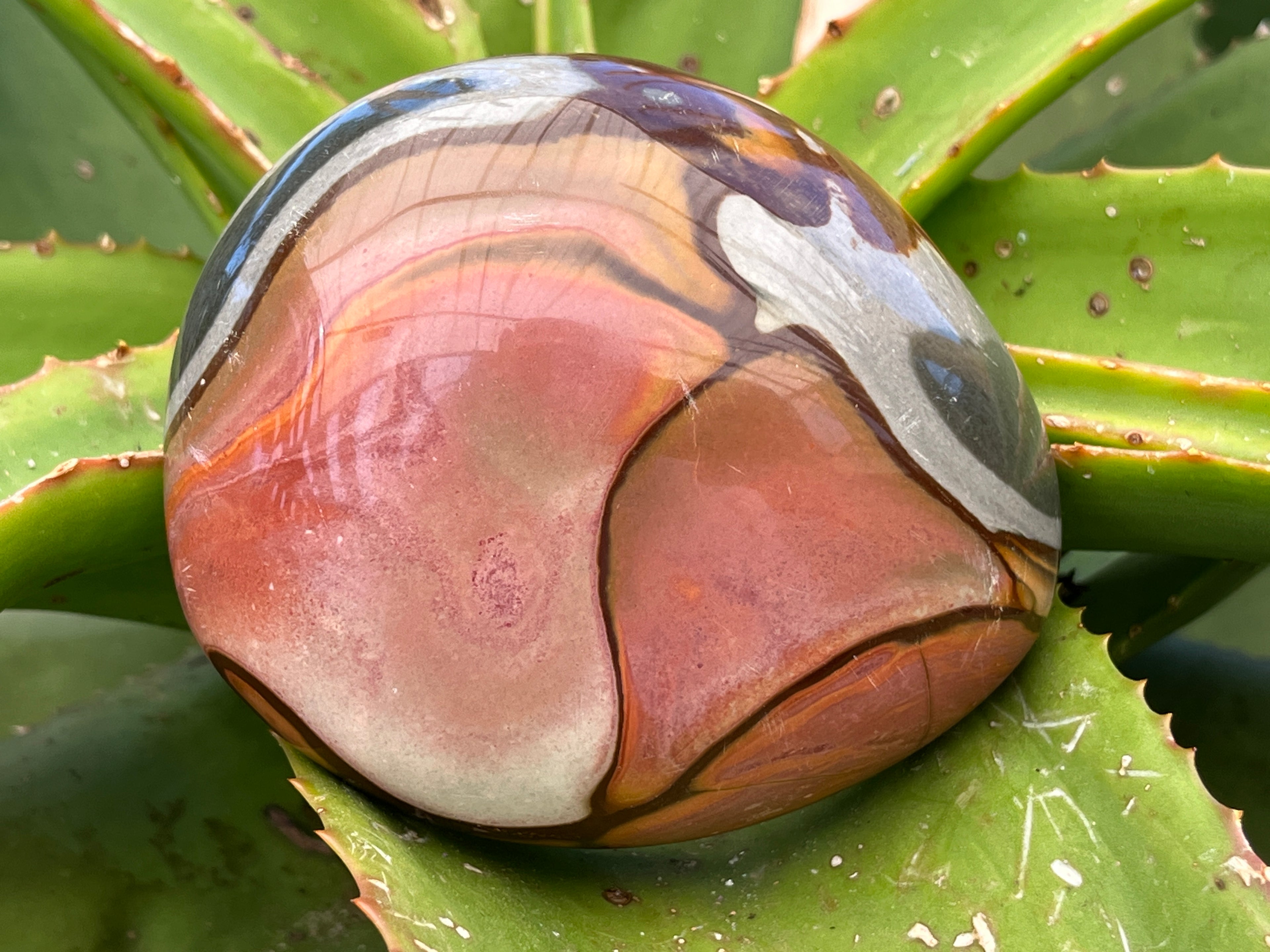 Polished On One Side Polychrome Jasper Nodule x 1 From NW Coast, Madagascar