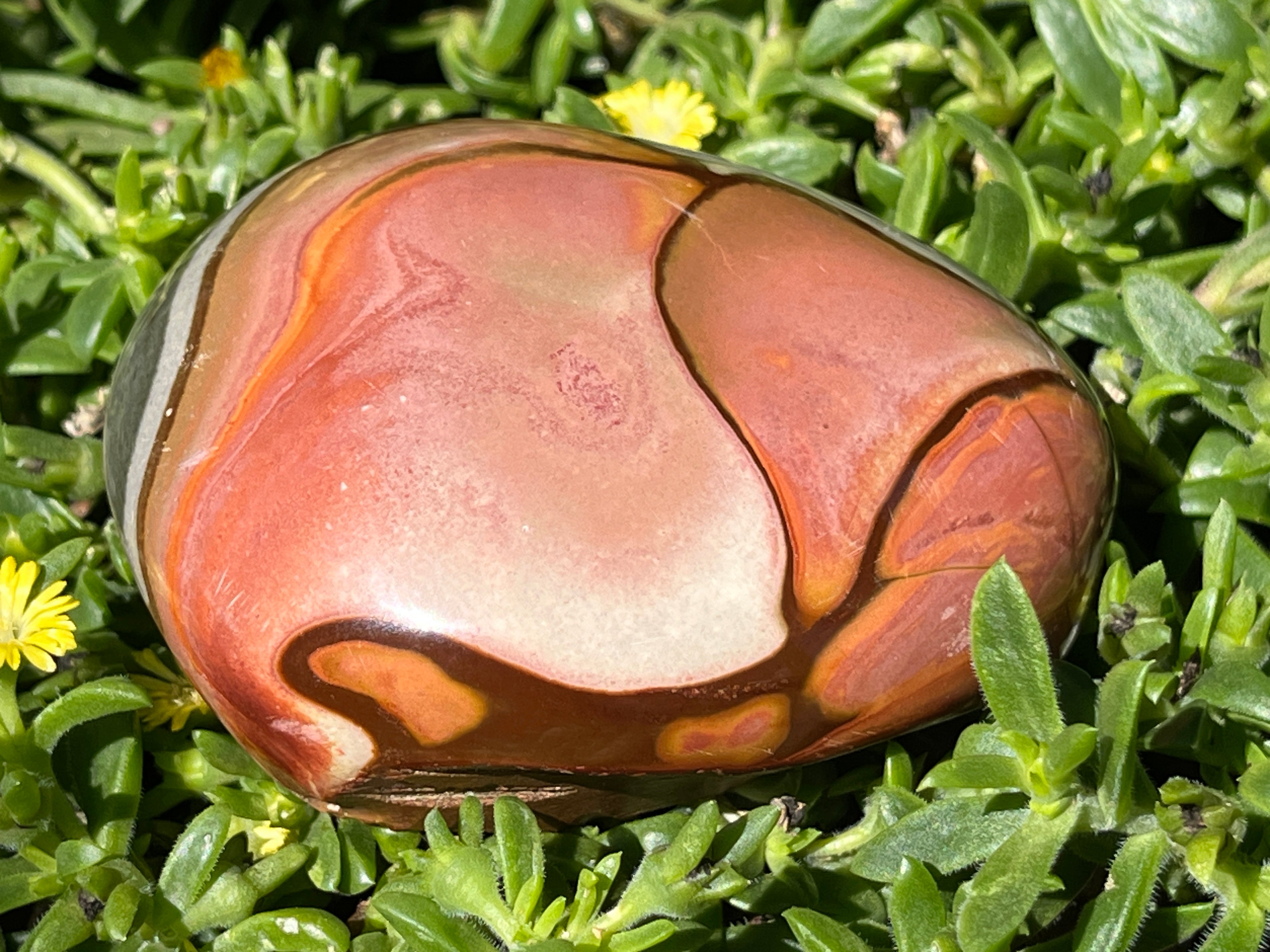 Polished On One Side Polychrome Jasper Nodule x 1 From NW Coast, Madagascar