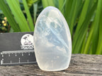 Polished Girasol Pearl Standing Free Form x 1 From Ambatondrazaka, Madagascar