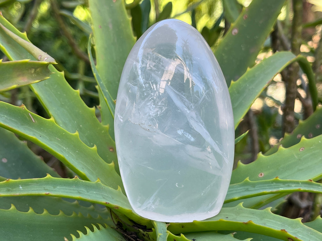 Polished Girasol Pearl Standing Free Form x 1 From Ambatondrazaka, Madagascar