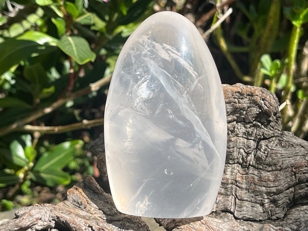 Polished Girasol Pearl Standing Free Form x 1 From Ambatondrazaka, Madagascar