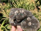 Natural Crystalline Botryoidal Clear Hemimorphite with Malachite on Iron Stone Matrix x 1 From Mindingi Mine, Congo