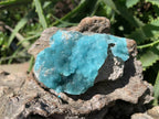 Natural Rare Blue Botroiydal Hemimorphite on Dolomite x 1 From Lupoto Mine, Congo