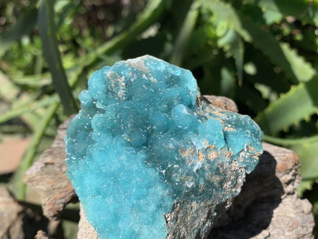 Natural Rare Blue Botroiydal Hemimorphite on Dolomite x 1 From Lupoto Mine, Congo