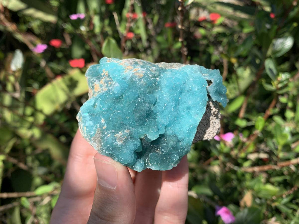 Natural Rare Blue Botroiydal Hemimorphite on Dolomite x 1 From Lupoto Mine, Congo