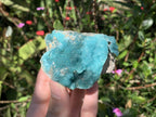 Natural Rare Blue Botroiydal Hemimorphite on Dolomite x 1 From Lupoto Mine, Congo