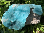 Natural Rare Blue Botroiydal Hemimorphite on Dolomite x 1 From Lupoto Mine, Congo