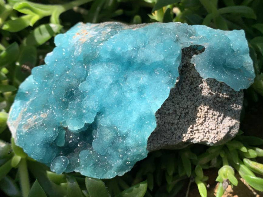 Natural Rare Blue Botroiydal Hemimorphite on Dolomite x 1 From Lupoto Mine, Congo