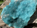 Natural Rare Blue Botroiydal Hemimorphite on Dolomite x 1 From Lupoto Mine, Congo