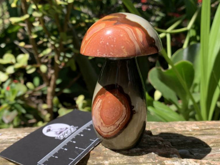Polished Large Polychrome Jasper Mushroom x 1 From NW Coast, Madagascar