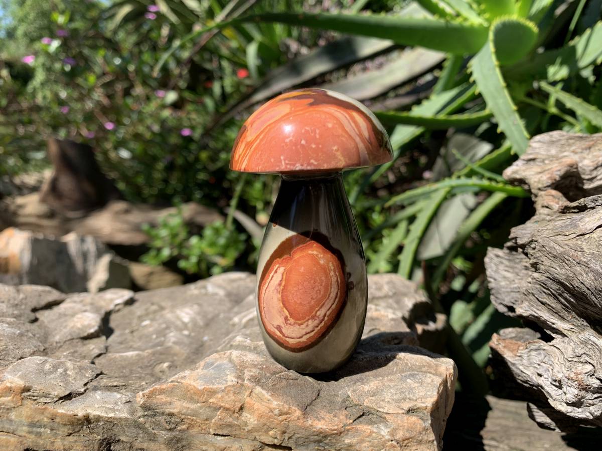 Polished Large Polychrome Jasper Mushroom x 1 From NW Coast, Madagascar