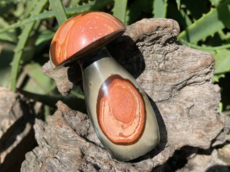 Polished Large Polychrome Jasper Mushroom x 1 From NW Coast, Madagascar