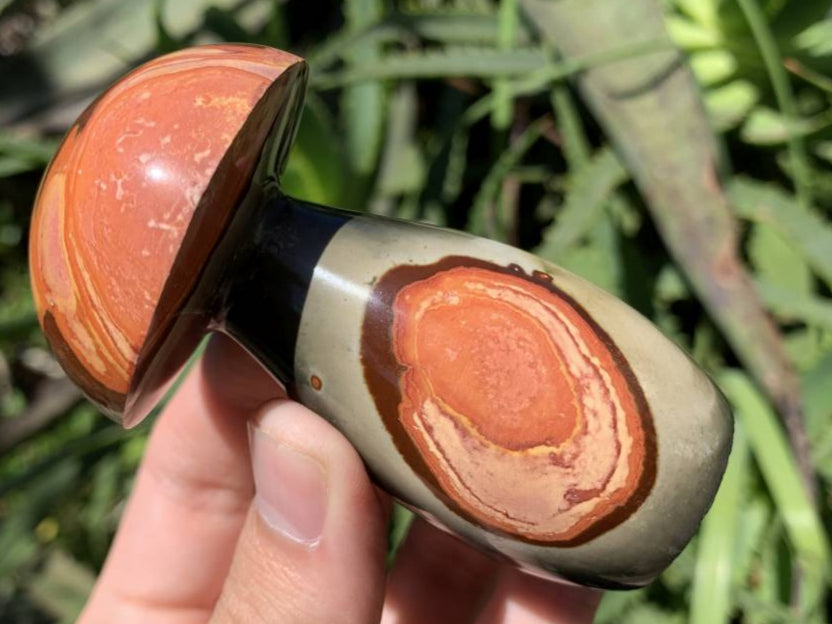 Polished Large Polychrome Jasper Mushroom x 1 From NW Coast, Madagascar