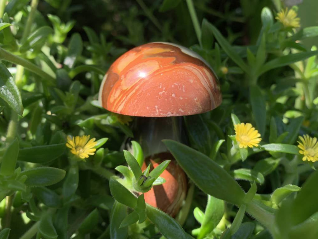 Polished Large Polychrome Jasper Mushroom x 1 From NW Coast, Madagascar