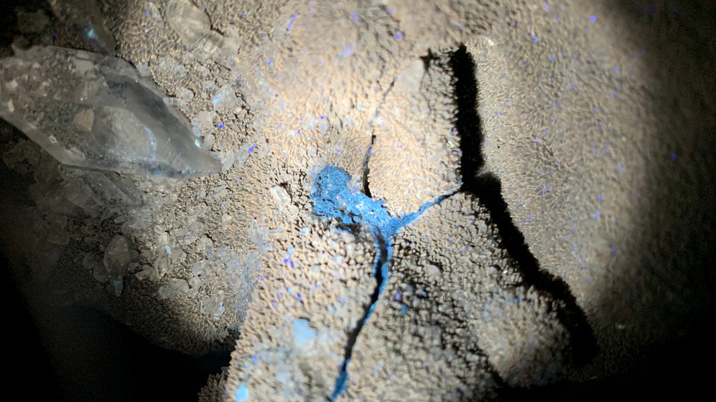 Polished Septerye Sauvage Dragons Egg Geode x 1 From Mahajanga, Madagascar