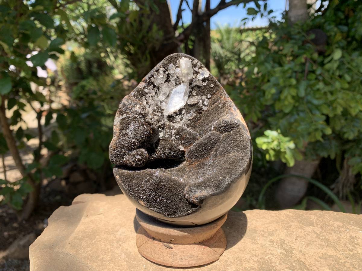 Polished Septerye Sauvage Dragons Egg Geode x 1 From Mahajanga, Madagascar