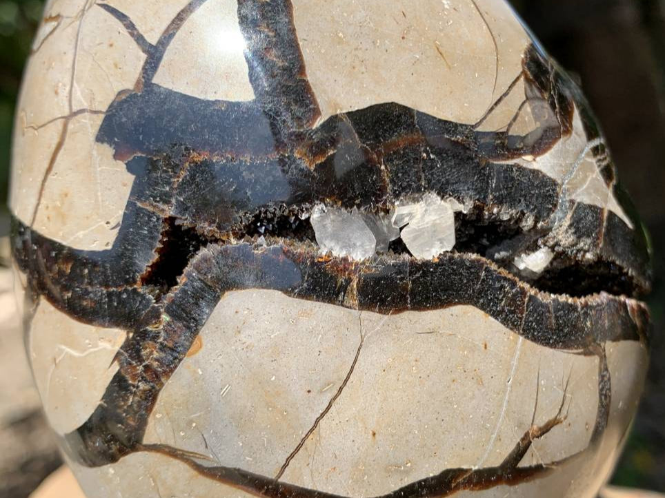 Polished Septerye Sauvage Dragons Egg Geode x 1 From Mahajanga, Madagascar