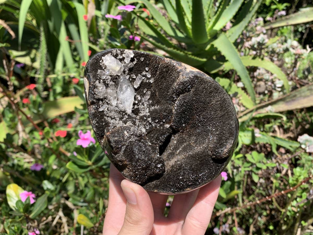 Polished Septerye Sauvage Dragons Egg Geode x 1 From Mahajanga, Madagascar