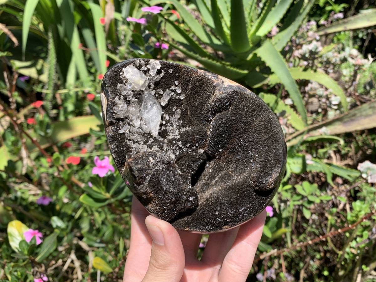 Polished Septerye Sauvage Dragons Egg Geode x 1 From Mahajanga, Madagascar