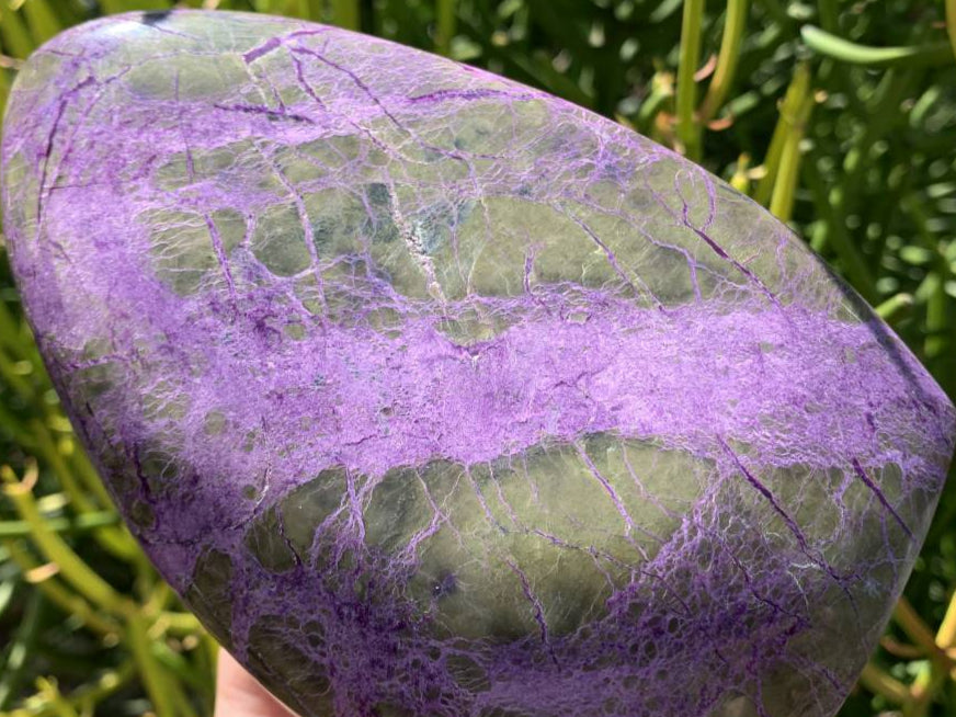 Polished Rare Stichtite Standing Free Form x 1 From Barberton, South Africa