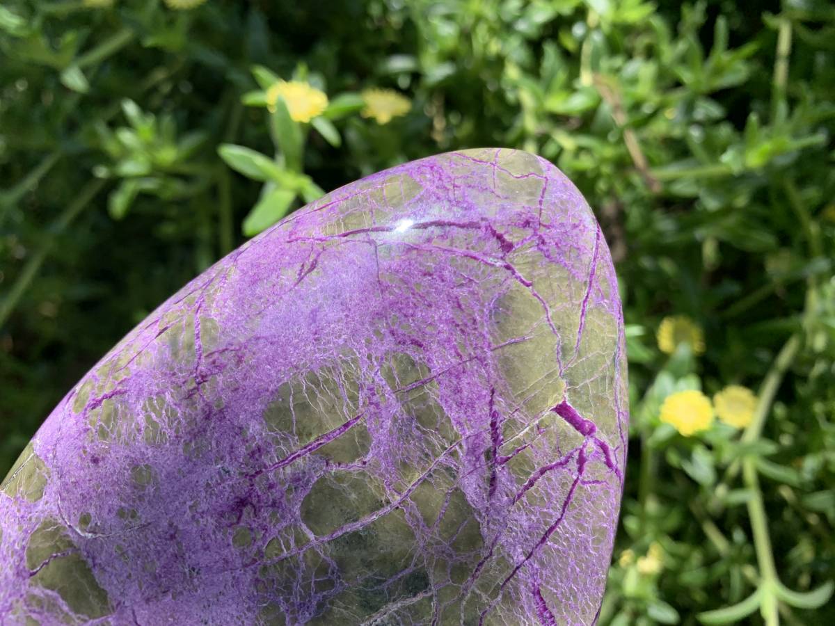 Polished Rare Stichtite Standing Free Form x 1 From Barberton, South Africa