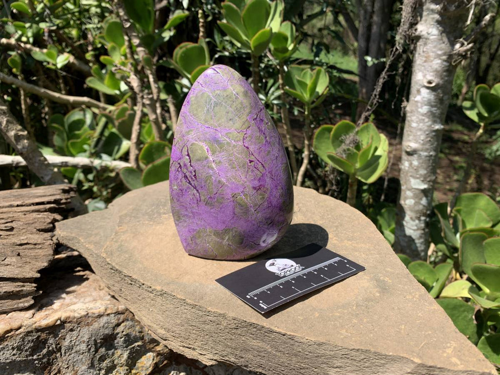 Polished Rare Stichtite Standing Free Form x 1 From Barberton, South Africa