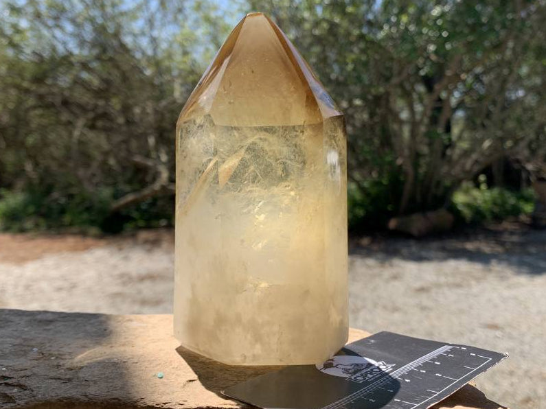 Polished Rare Citrine Quartz Crystal x 1 From Madagascar