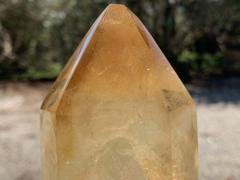 Polished Rare Citrine Quartz Crystal x 1 From Madagascar