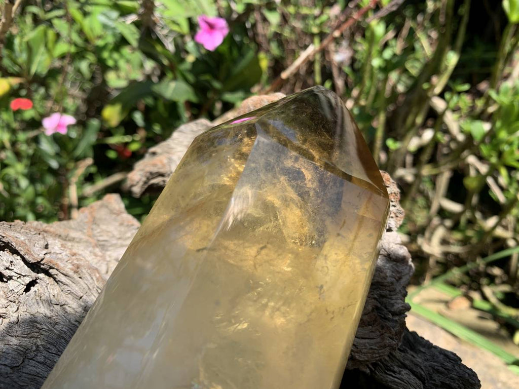 Polished Rare Citrine Quartz Crystal x 1 From Madagascar