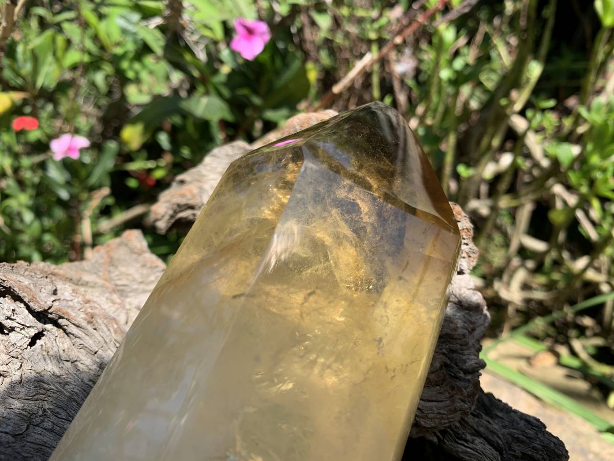 Polished Rare Citrine Quartz Crystal x 1 From Madagascar
