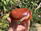 Polished Red Carnelian Crystalline Geode Bowl x 1 From Madagascar