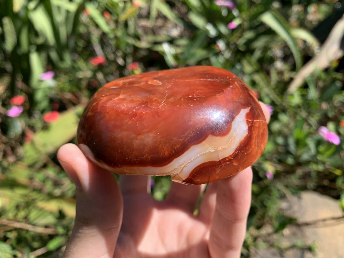 Polished Red Carnelian Crystalline Geode Bowl x 1 From Madagascar