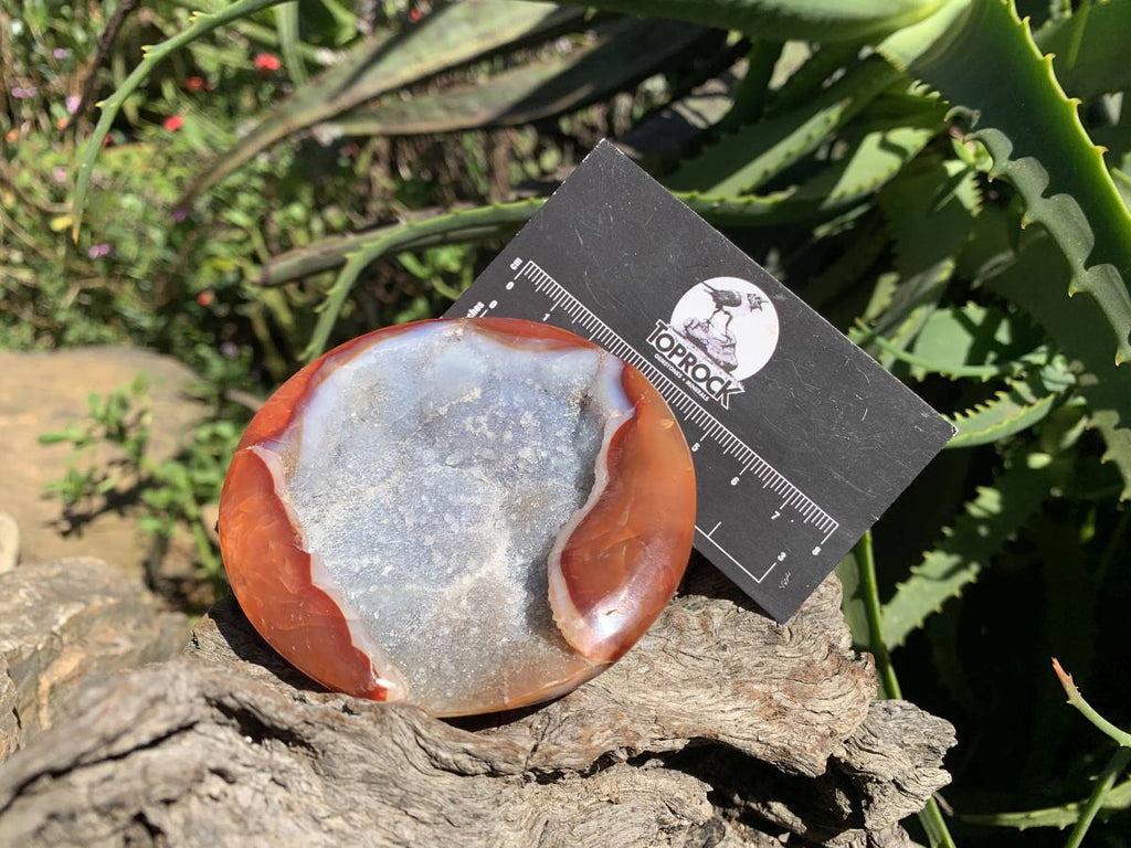 Polished Red Carnelian Crystalline Geode Bowl x 1 From Madagascar