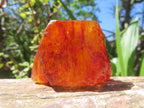 Natural Copal Amber Specimen x 1 From Nosy Varika, Madagascar