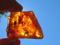 Natural Copal Amber Specimen x 1 From Nosy Varika, Madagascar