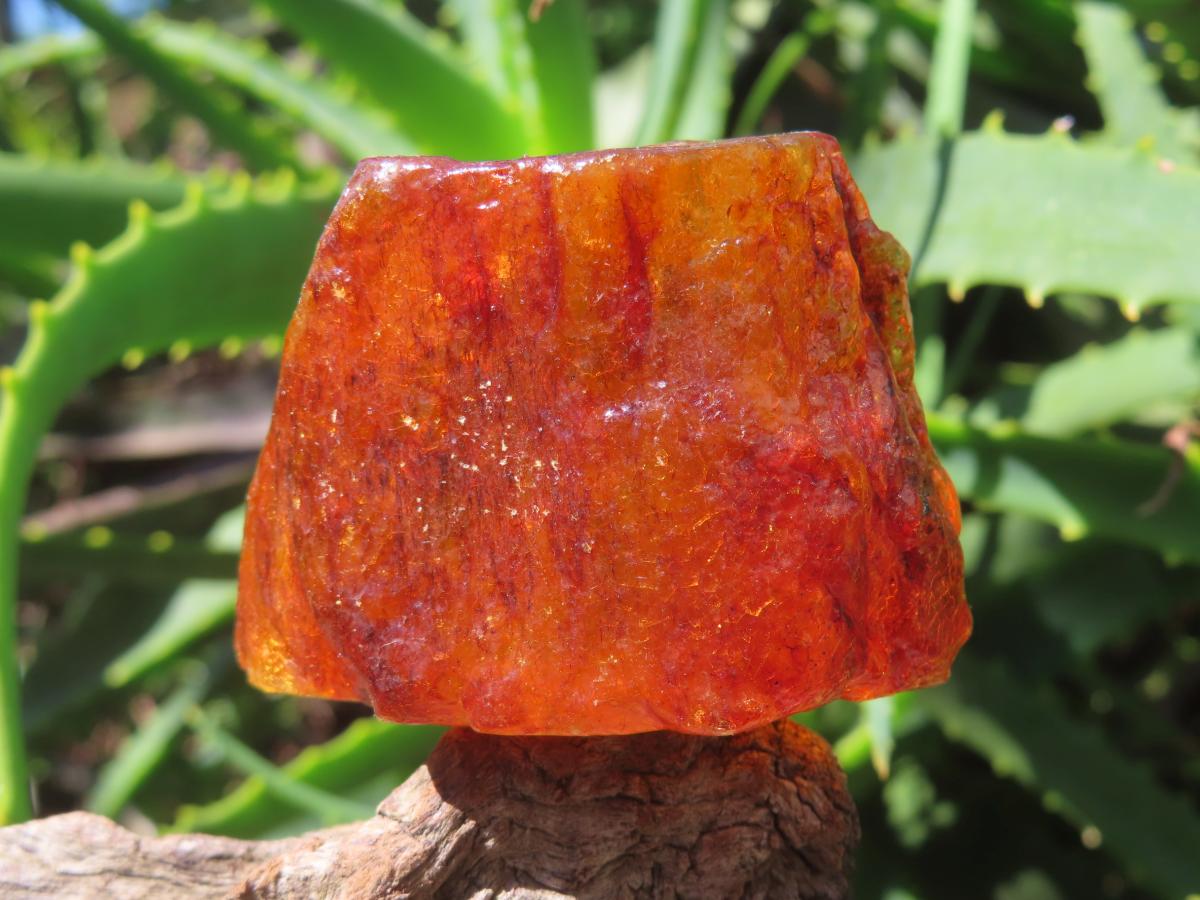 Natural Copal Amber Specimen x 1 From Nosy Varika, Madagascar