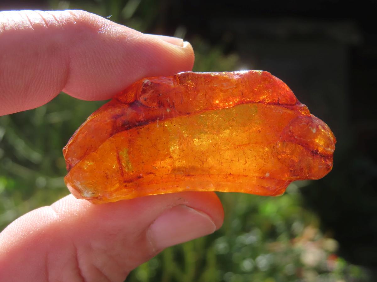 Natural Copal Amber Specimen x 1 From Nosy Varika, Madagascar