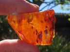 Natural Copal Amber Specimen x 1 From Nosy Varika, Madagascar