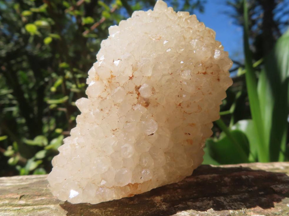 Natural Crystobal Quartz Coated Stalagmitic Formation x 1 From South Africa