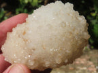 Natural Crystobal Quartz Coated Stalagmitic Formation x 1 From South Africa