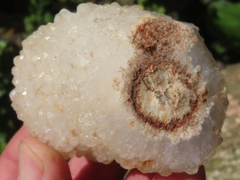 Natural Crystobal Quartz Coated Stalagmitic Formation x 1 From South Africa